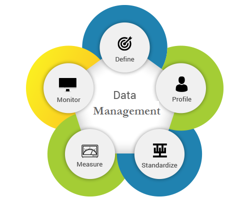 Data Management Software