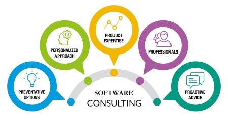 Software Consulting Services