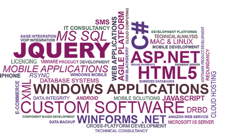 Custom Software Development